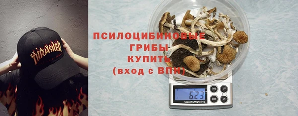 сатива Абинск