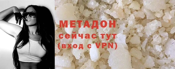 прущие грибы Абаза