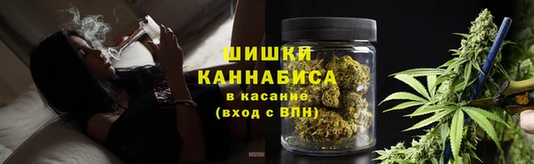 сатива Абинск