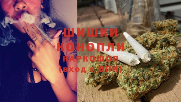 сатива Абинск