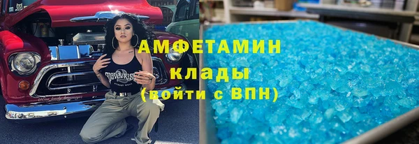 прущие грибы Абаза