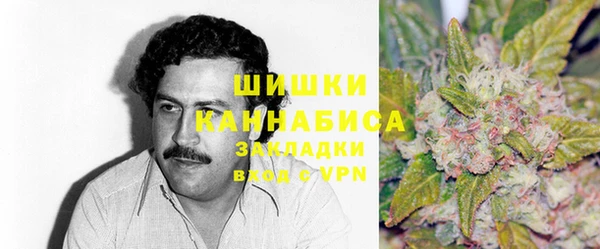 прущие грибы Абаза